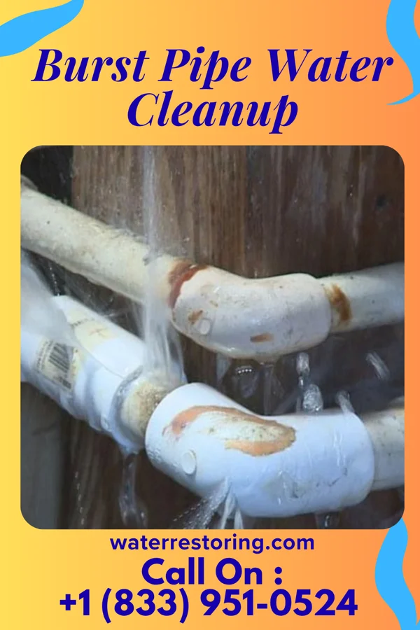 Burst Pipe Water Cleanup in Melbourne, IA