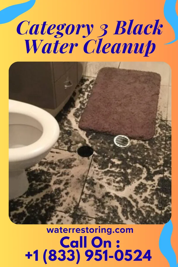 Category 3 Black Water Cleanup in Melbourne, IA