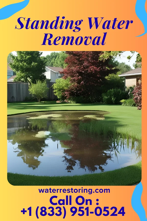 Standing Water Removal in Melbourne, IA